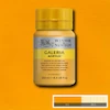 رنگ اکریلیک 250 میل وینزور گالریا/ Cadmium Yellow Deep Hue