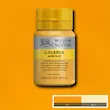 رنگ اکریلیک 250 میل وینزور گالریا/ Cadmium Yellow Deep Hue