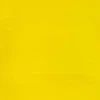 رنگ اکریلیک 250 میل وینزور گالریا/ Cadmium Yellow Pale Hue