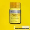 رنگ اکریلیک 250 میل وینزور گالریا/ Cadmium Yellow Pale Hue