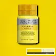 رنگ اکریلیک 250 میل وینزور گالریا/ Cadmium Yellow Pale Hue
