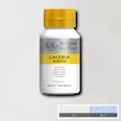 رنگ اکریلیک 500 میل وینزور گالریا/ Titanium White