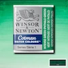 قرص آبرنگ کاتمن وینزور/ Intense Green