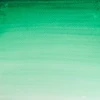 قرص آبرنگ کاتمن وینزور/ Intense Green