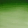 قرص آبرنگ کاتمن وینزور/ Hooker's Green Light