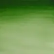 قرص آبرنگ کاتمن وینزور/ Hooker's Green Light