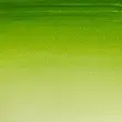 قرص آبرنگ کاتمن وینزور/ Sap Green