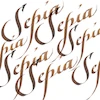 جوهر کالیگرافی وینزور/ Sepia