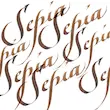 جوهر کالیگرافی وینزور/ Sepia