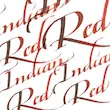 جوهر کالیگرافی وینزور/ Indian Red