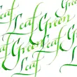 جوهر کالیگرافی وینزور/ Leaf Green