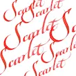 جوهر کالیگرافی وینزور/ Scarlet