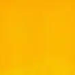 رنگ روغن آرتیست وینزور 890/ Cadmium-Free Yellow  