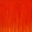 رنگ روغن آرتیست وینزور 903/ Cadmium-Free Scarlet  