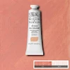 رنگ روغن آرتیست وینزور 257/ Pale Rose Blush  