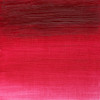 رنگ روغن آرتیست وینزور 502/ Permanent Rose  