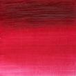 رنگ روغن آرتیست وینزور 502/ Permanent Rose  