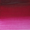 رنگ روغن آرتیست وینزور 489/ Permanent Magenta  