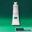 رنگ روغن آرتیست وینزور 482/ Permanent Green Deep  