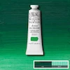 رنگ روغن آرتیست وینزور 481/ Permanent Green  