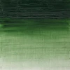 رنگ روغن آرتیست وینزور 637/ Terre Verte  