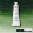 رنگ روغن آرتیست وینزور 637/ Terre Verte  