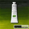 رنگ روغن آرتیست وینزور 599/ Sap Green  