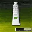 رنگ روغن آرتیست وینزور 599/ Sap Green  