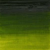 رنگ روغن آرتیست وینزور 599/ Sap Green  