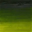 رنگ روغن آرتیست وینزور 599/ Sap Green  