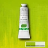 رنگ روغن آرتیست وینزور 897/ Cadmium-Free Green Pale  