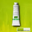 رنگ روغن آرتیست وینزور 897/ Cadmium-Free Green Pale  