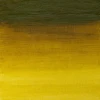 رنگ روغن آرتیست وینزور 294/ Green Gold  