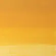 رنگ روغن آرتیست وینزور 425/ Naples Yellow Deep  
