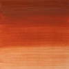 رنگ روغن آرتیست وینزور 647/ Transparent Red Ochre  