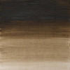 رنگ روغن آرتیست وینزور 558/ Raw Umber (Green Shade)  