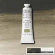 رنگ روغن آرتیست وینزور 217/ Davy’s Gray  