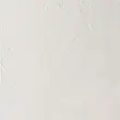 رنگ روغن آرتیست وینزور 674/ Underpainting White (Fast Drying)  
