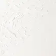 رنگ روغن آرتیست وینزور 644/ Titanium White  