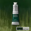 رنگ روغن 37 میل وینزور/ Dark Verdigris