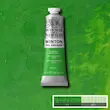 رنگ روغن 37 میل وینزور/ Permanent Green Light