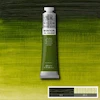 رنگ روغن 200 میل وینزور/ Sap Green