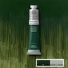 رنگ روغن 200 میل وینزور/ Dark Verdigris