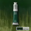 رنگ روغن 200 میل وینزور/ Dark Verdigris
