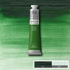 رنگ روغن 200 میل وینزور/ Terre Verte