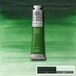 رنگ روغن 200 میل وینزور/ Terre Verte