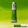 رنگ روغن 200 میل وینزور/ Chrome Green Hue