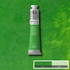 رنگ روغن 200 میل وینزور/ Permanent Green Light