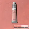 رنگ روغن 200 میل وینزور/ Pale Rose Blush