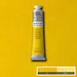 رنگ روغن 200 میل وینزور/ Cadmium Yellow Pale Hue